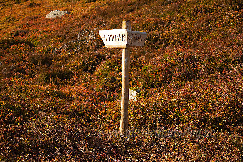 Skilt langs ruta til Skorvetoppen.