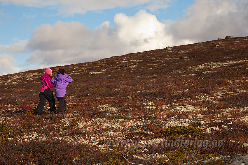 På tur til Skruvdalstinden.