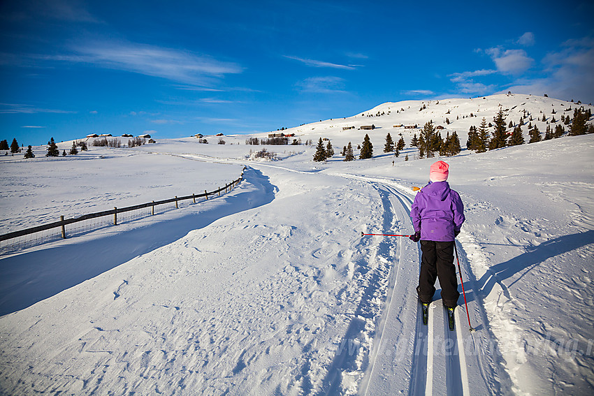 På skitur til Synhaugen.