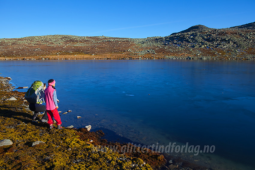 Ved Bergsfjellet i Vang en nydelig høstdag.