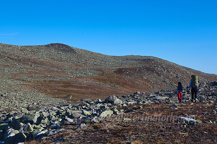 Fjellvandrere på Bergsfjellet.