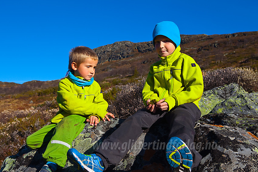 Pause like ved Bergsfjellet i Vang.