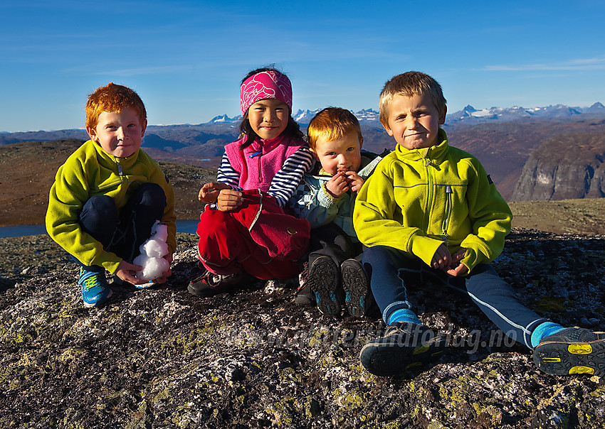 Pause på toppen av Bergsfjellet.