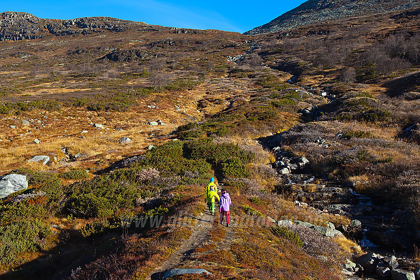 På stien fra Skakadalen mot Skjøld / Bergsfjellet.