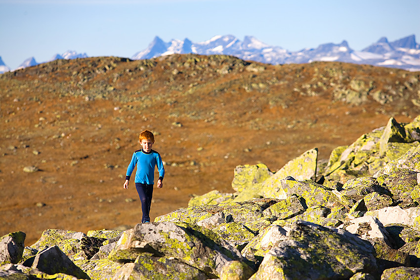 På vei til Bergsfjellet med Hurrungane i bakgrunnen.