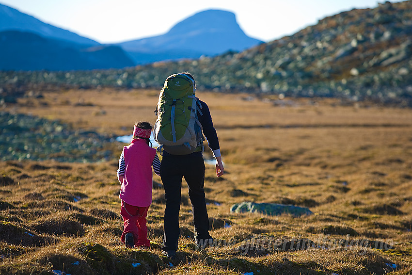 På retur fra Bergsfjellet med konturene av Suletinden i bakgrunnen.