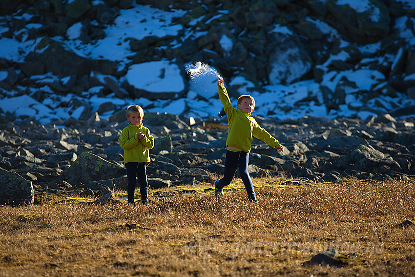 Snøballkasting ved Bergsfjellet i Vang.