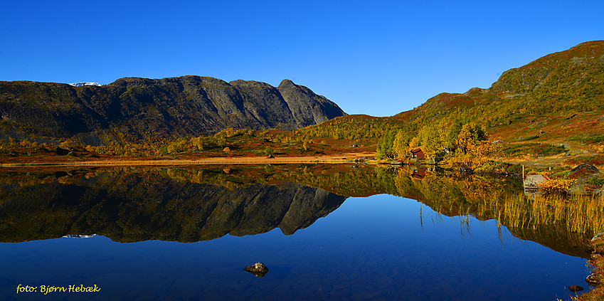 En flott dag i fjellet