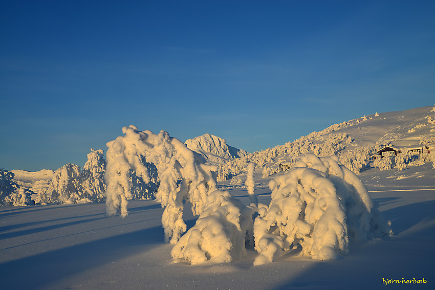 En flott dag på Garli 21 minus