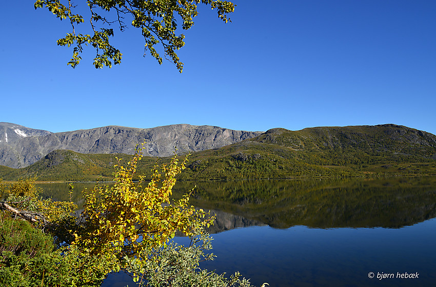 Flott høstdag