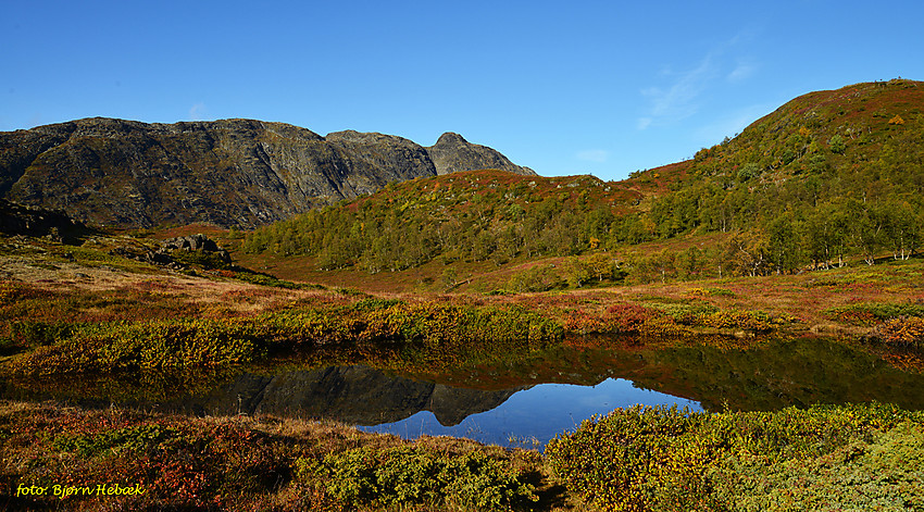 Flott høstdag i Nedre Leirungen