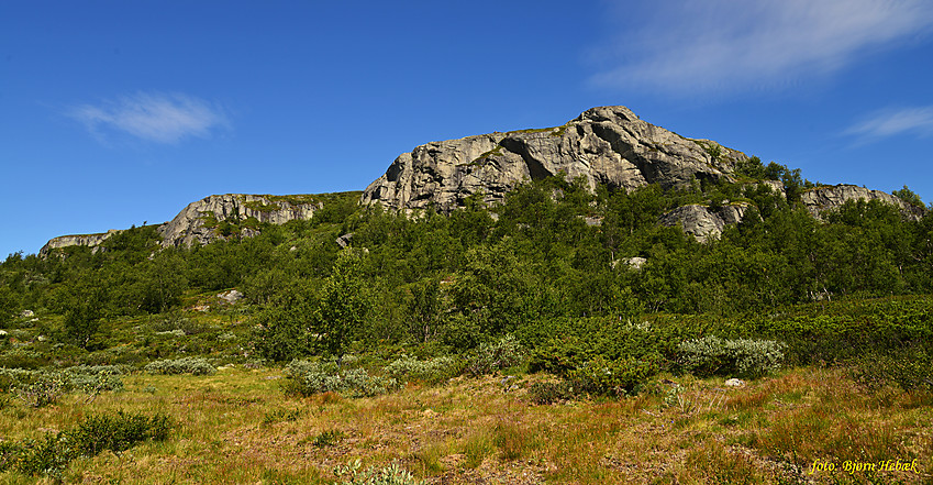 Flott sommerdag 