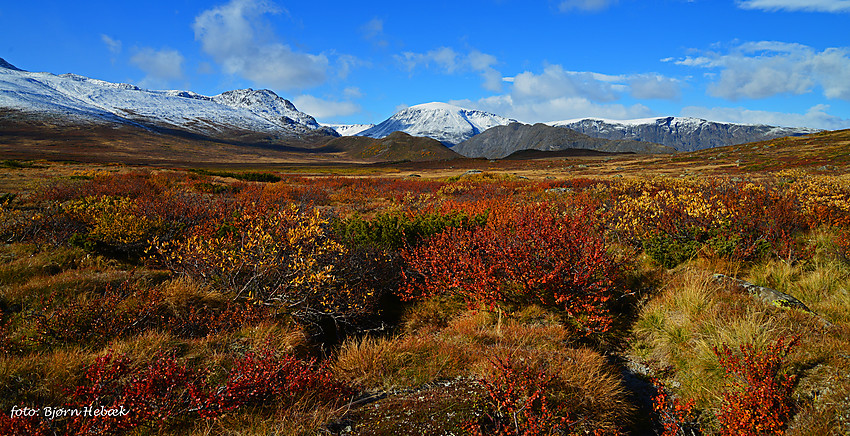 Høst og vinter i fjellheimen