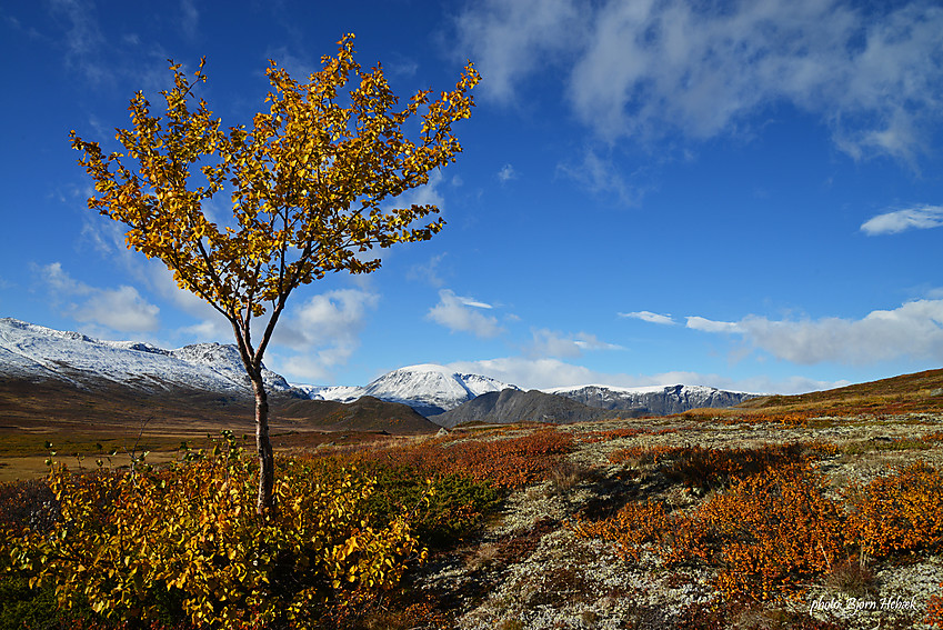 En flott dag i fjellet