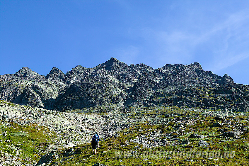 På vei opp mot Øystre Torfinnstinden (2120 moh) fra sør. Toppen ses i midten. Vi har stø kurs mot renna som regnes som normalveien.