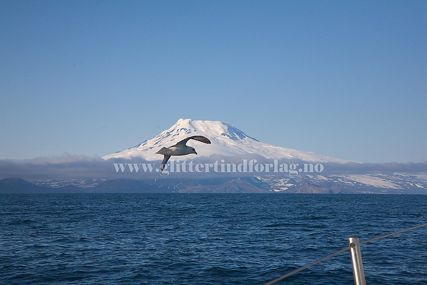 Innsegling til Jan Mayen under nær perfekte forhold. Beerenberg (2277 moh) ruver i bakgrunnen, selv om det ennå er mange km til landgang.