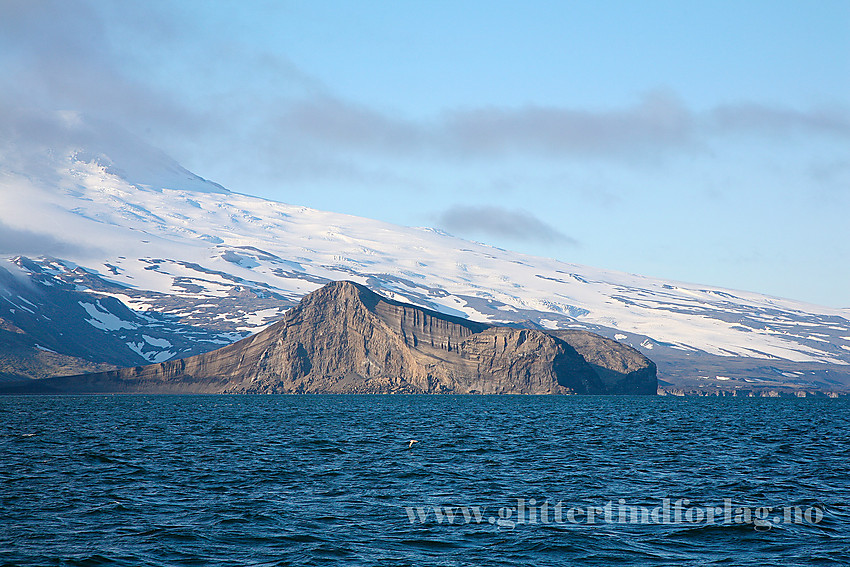 Eggøya, et landemerke ved foten av Beerenberg. Den langstrakte brearmen i bakgrunnen er Sørbreen.