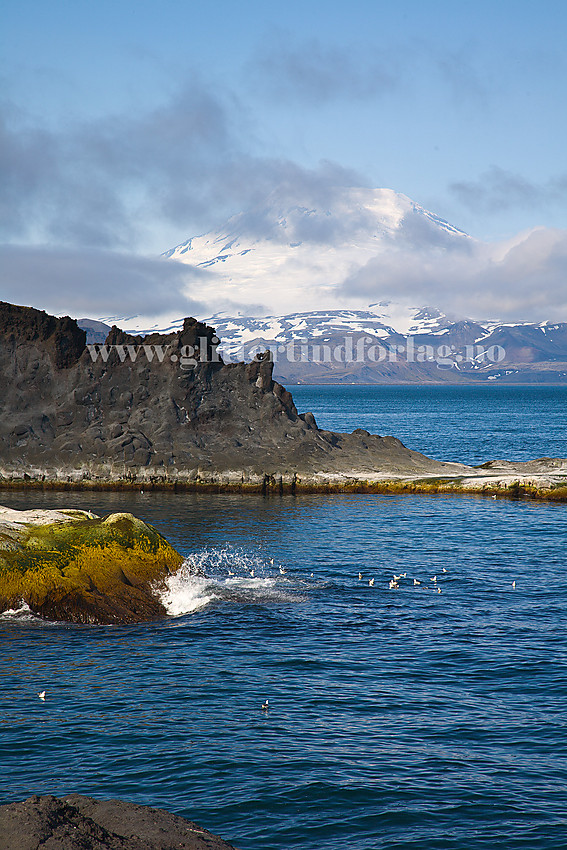 Nær Båtvika på Jan Mayen med flott klippekyst. I bakgrunnen ses Beerenberg.