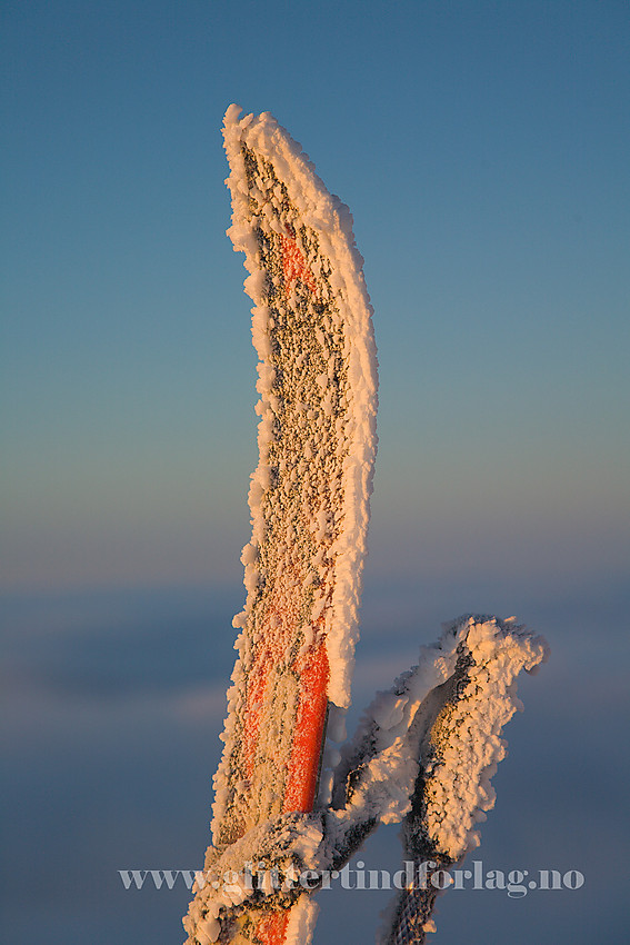 Skitupp i soloppgang på Gaustatoppen en romjulsmorgen.