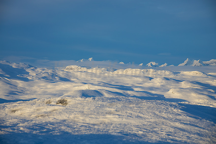 Utsikt fra Skørsnøse mot Hurrungane.