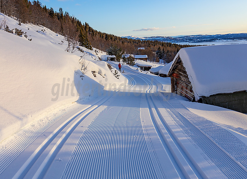 I løypenettet oppunder Gravfjellet, nær Yddin.