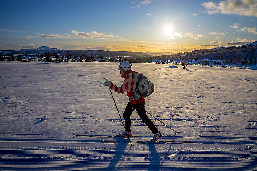 I Raudalen, en del av løypenettet til Ydding og Javnlie løypelag. I bakgrunnen anes Rundemellen.