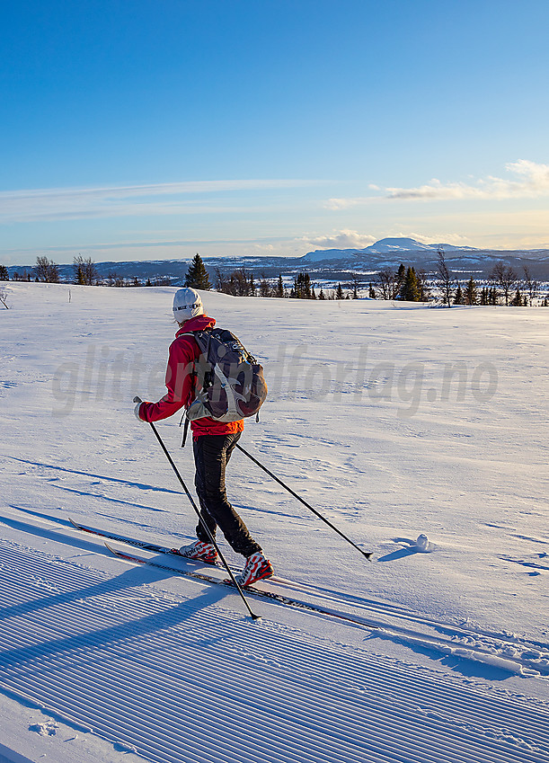 I Raudalen, en del av løypenettet til Ydding og Javnlie løypelag. I bakgrunnen anes Rundemellen.