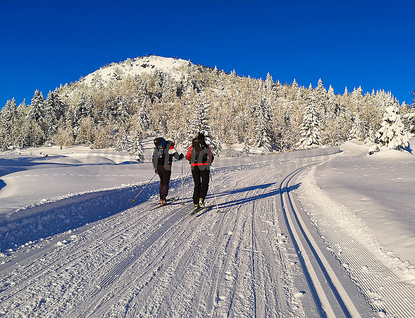 Skiløpere på vei opp fra Fjellsætre på tur til Spåtind.