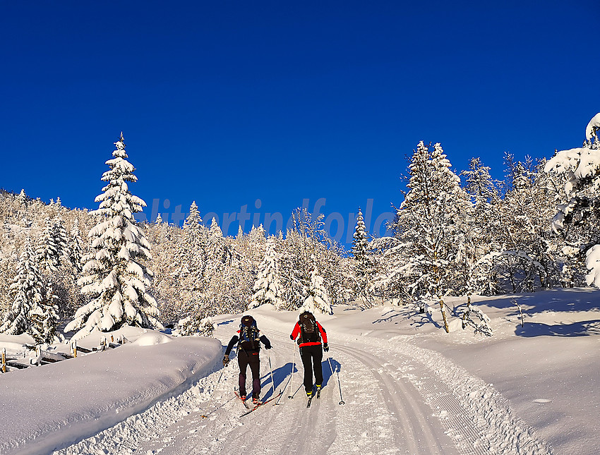 Skiløpere på vei opp fra Fjellsætre på tur til Spåtind.