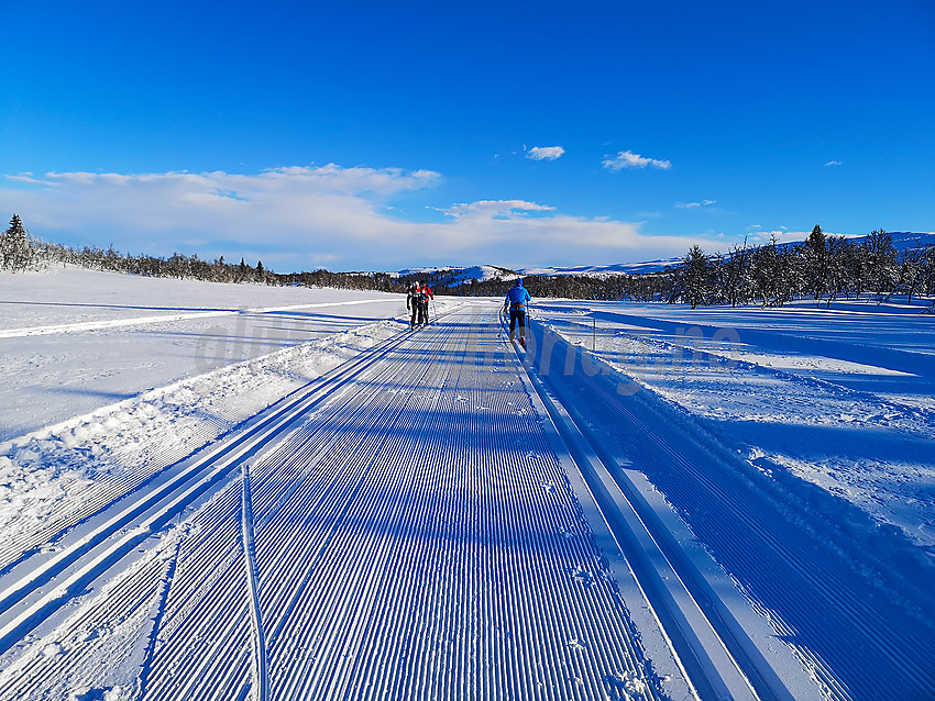 Skiløyper like ved Lenningen.