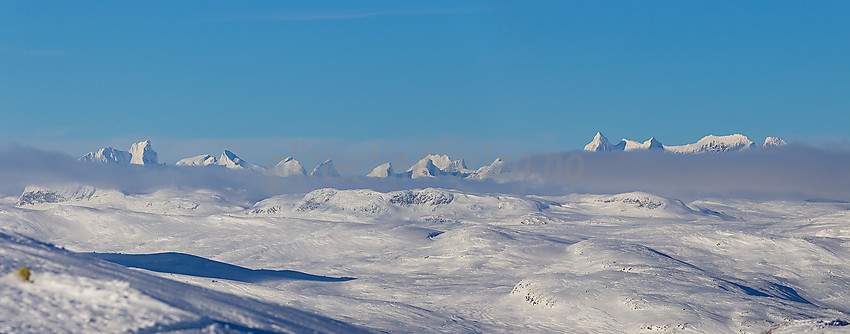 Fra Skørsnøse mot Hurrungane.