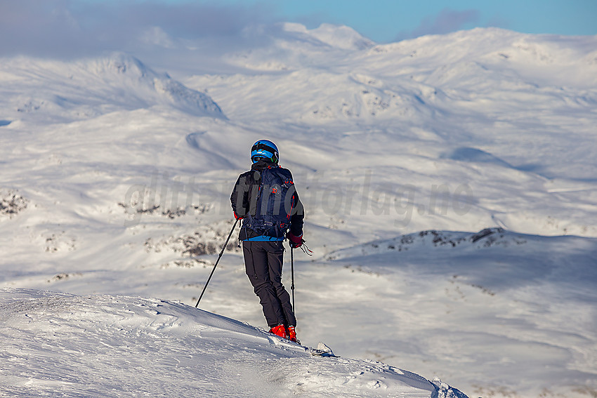 Utsikt fra Skørsnøse nordover mot Jotunheimen.