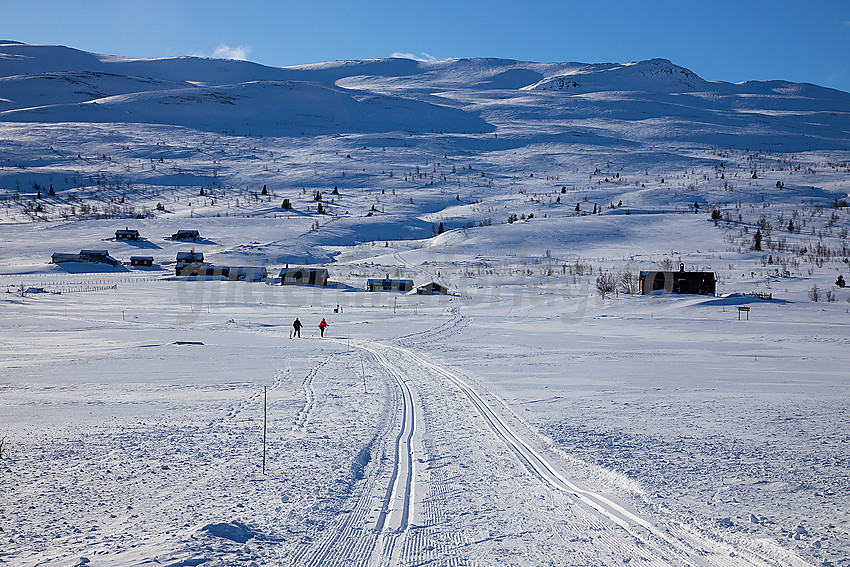 Skispor med Gilafjellet i bakgrunnen.