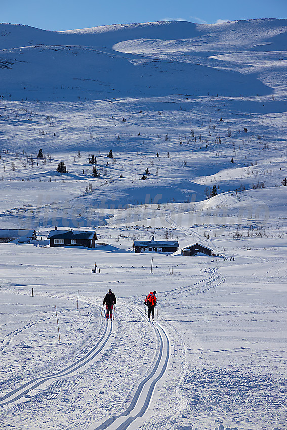 Skispor med Gilafjellet i bakgrunnen.