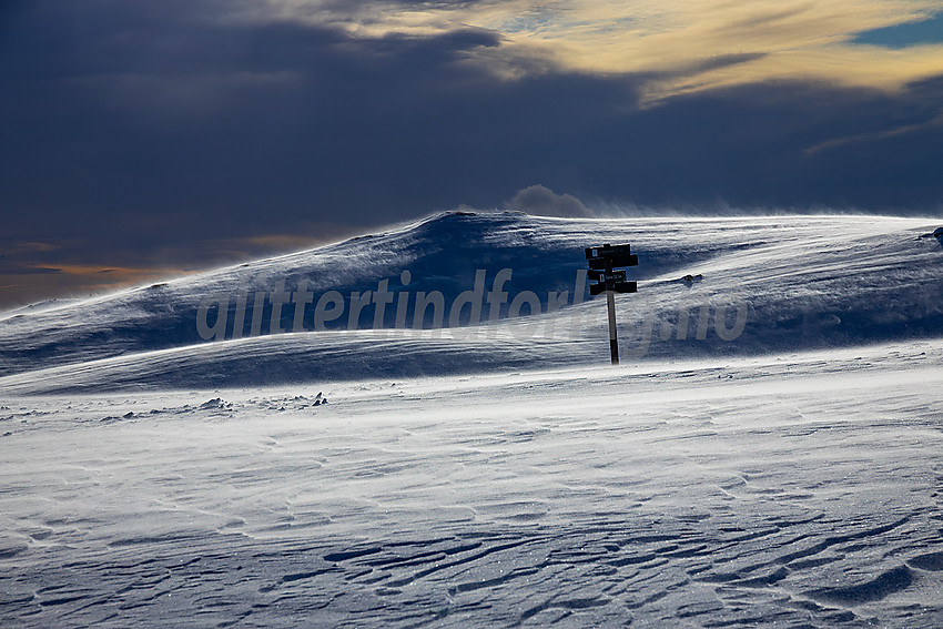 Litt hustrig men stemningsfullt på Jomfruslettfjellet.