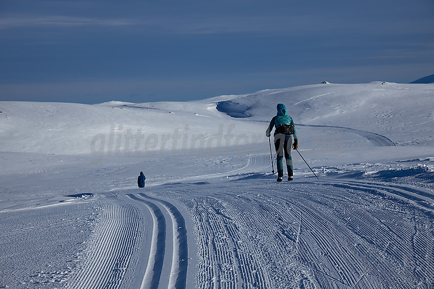 Skiløper på Jomfruslettfjellet.