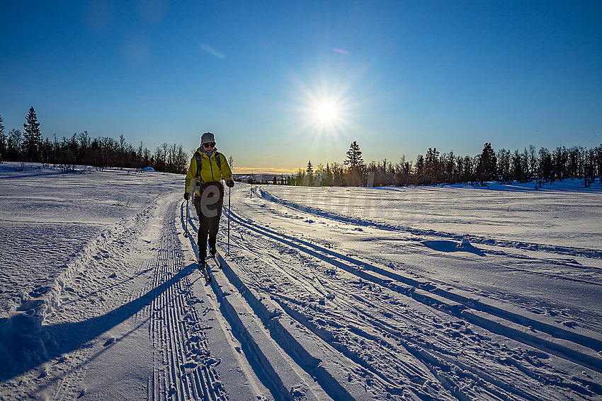 Skiløper i løypenettet til Stølsvidda løypelag. På vei mot Revulen.