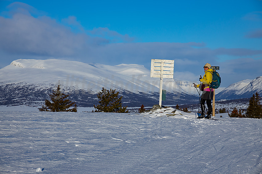 På toppen av Revulen, fint utsiktspunkt i løypenettet til Stølsvidda Løypelag.