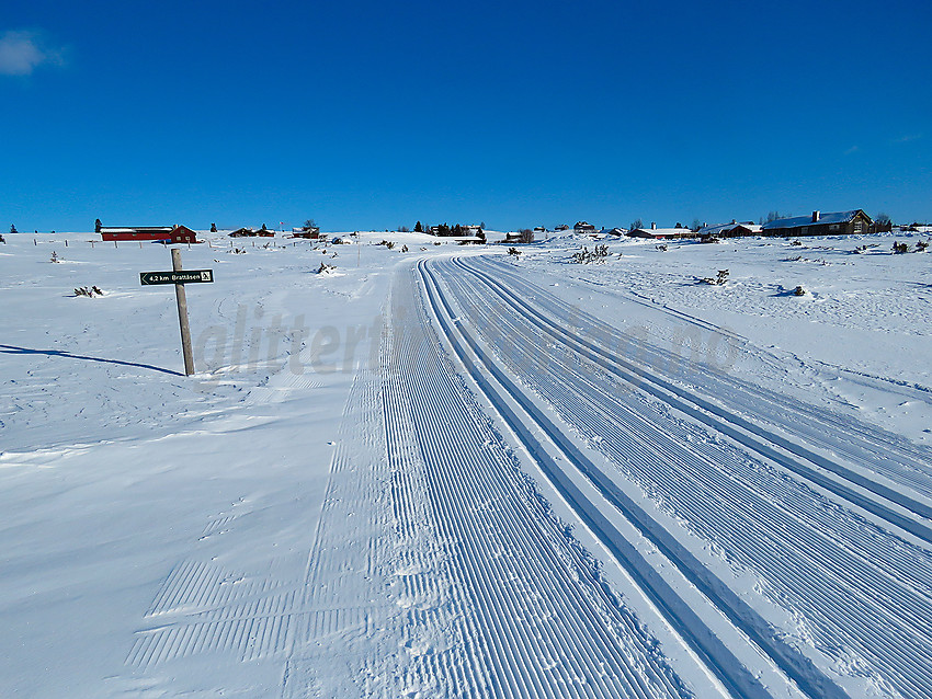 Ved Gauklie i løypenettet til Stølsvidda løypelag.