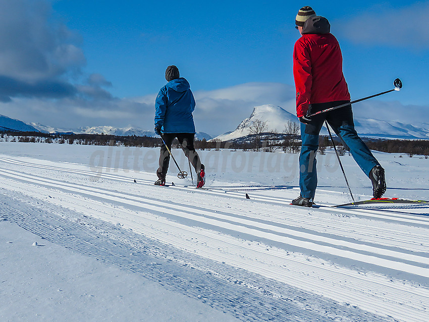 Skiløpere i løypenettet til Stølsvidda løypelag.