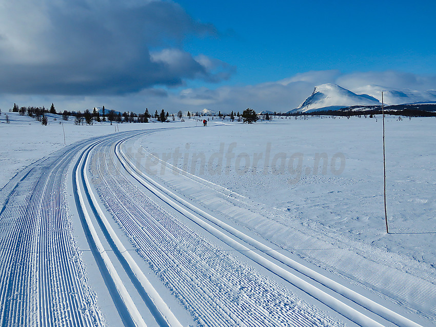 Skiløype i nettet til Stølsvidda løypelag.