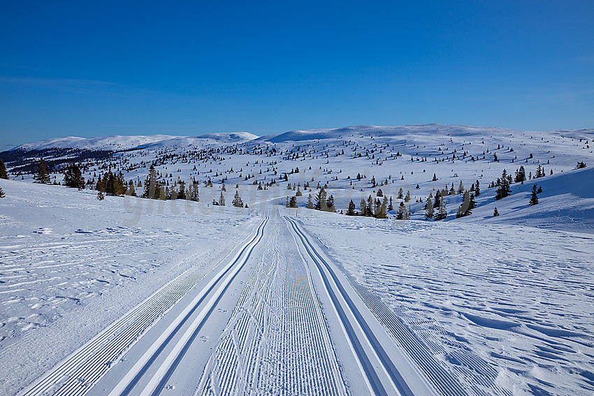 Tilbakeblikk mot Rauddalsfjellet på vei opp mot Nystølsfjellet.