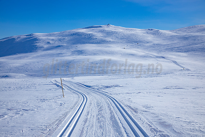 Skiløpere på vei opp mot Nystølvarden.