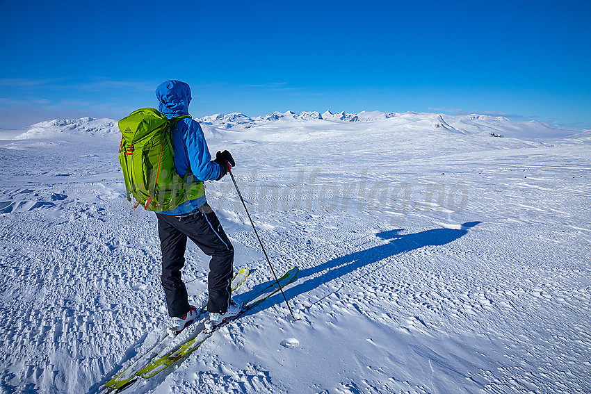 Utsikt fra Blåe Berge mot Jotunheimen.