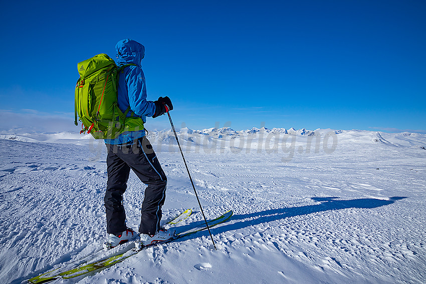 Utsikt fra Blåe Berge mot Jotunheimen.