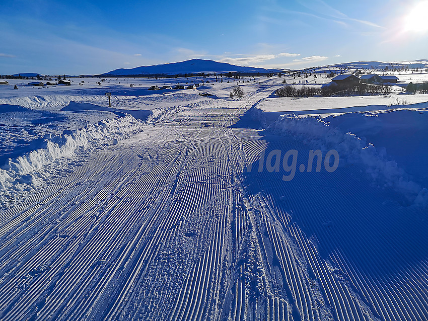 Ved Krokåne i Vestfjelløypene med Grønsennknippa i bakgrunnen.