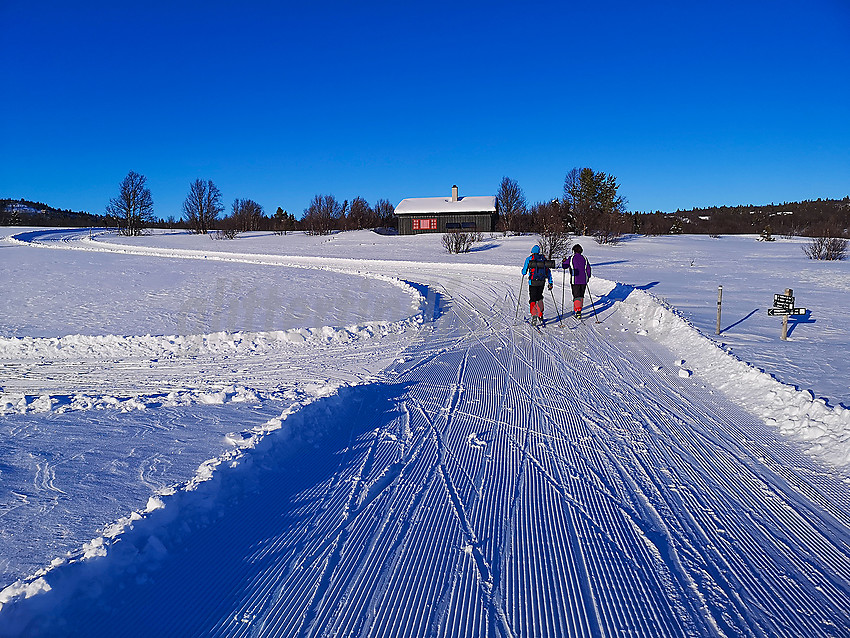 Skiløpere nær Krokåne og Trillestølen i Vestfjelløypene.