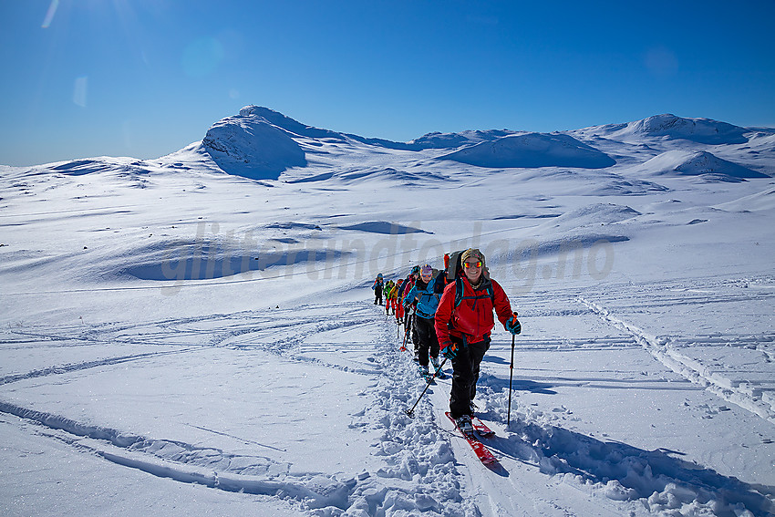 På tur mot Synshorn med Bitihorn i bakgrunnen.