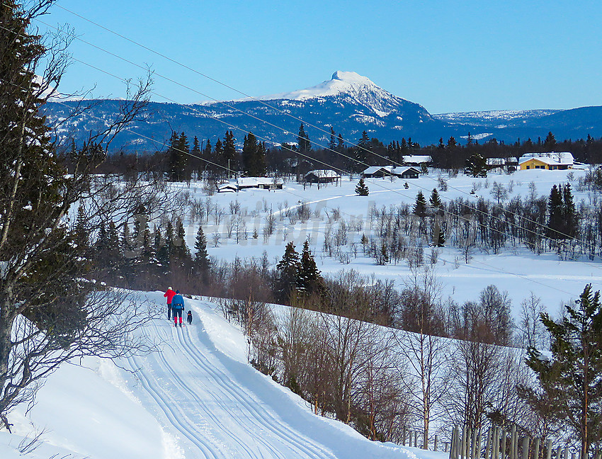 Skiløpere ikke langt fra Lehøvd. Skarvemellen i bakgrunnen.