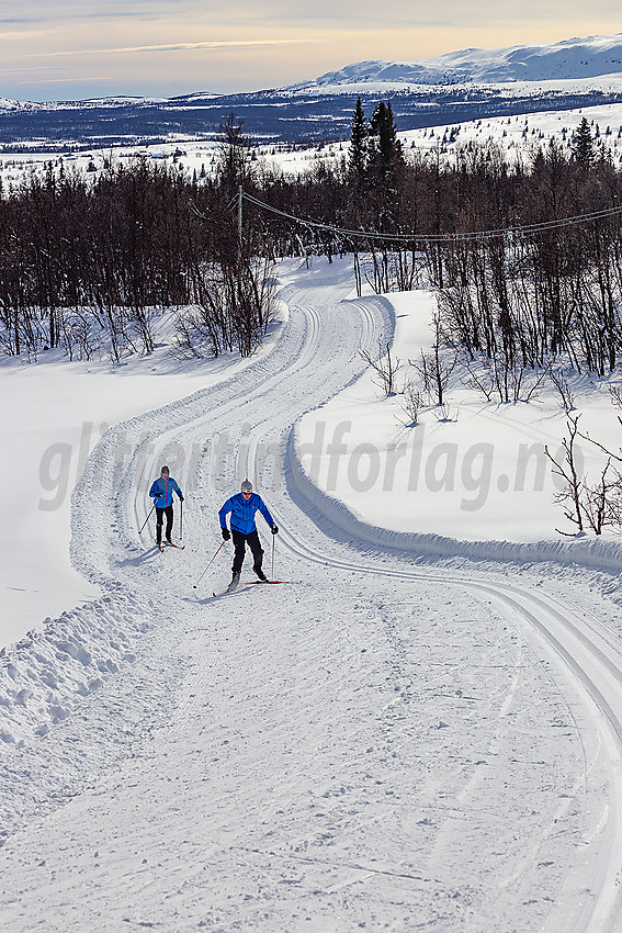 Skiløpere i løypenettet til Vestfjelløypene.